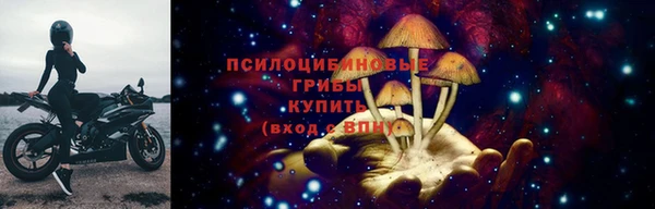 ECSTASY Богородск