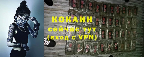 ECSTASY Богородск
