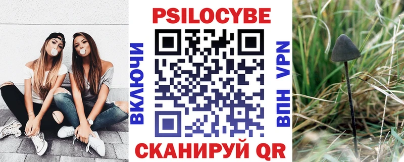 Галлюциногенные грибы мицелий  купить   Неман 